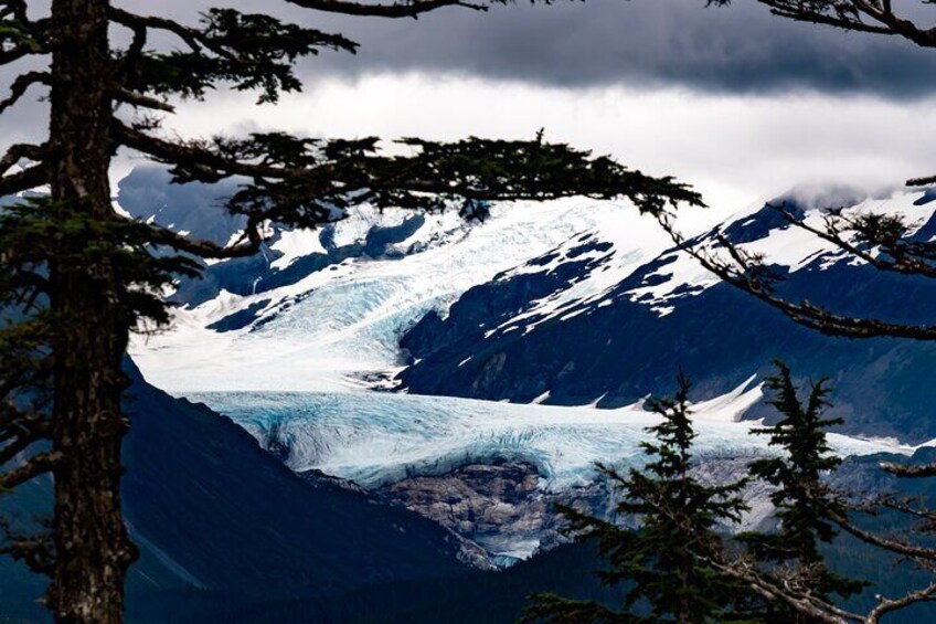 Whittier Wildlife & Wilderness Photo Tour from Anchorage