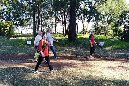 Full-Day Guided Tour with workshop: Karragarra and Macleay Island
