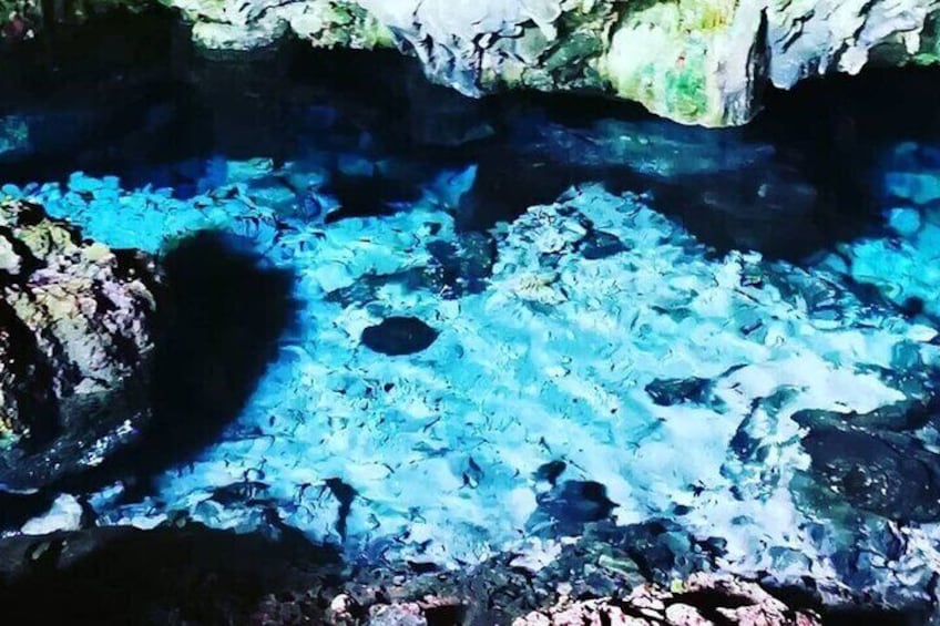 Salaam Cave Tour, Prison Island Tour, Secret Garden Restaurant, Stone Town Tour, Kuza Cave Tour