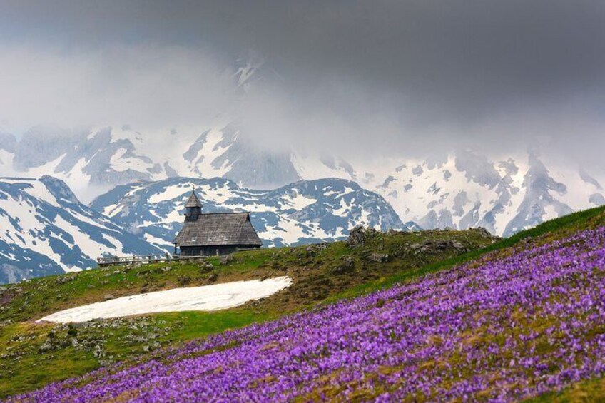 Velika Planina Shepherd's Hike