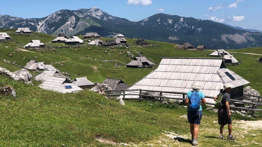 Velika Planina Shepherd's Hike