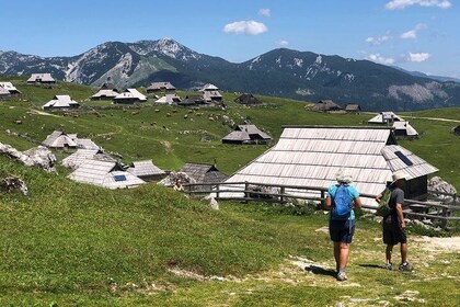 Velika Planina Shepherd's Hike