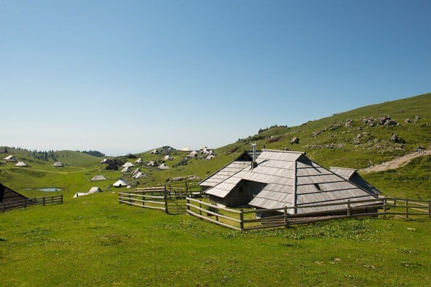 Velika Planina Shepherd's Hike