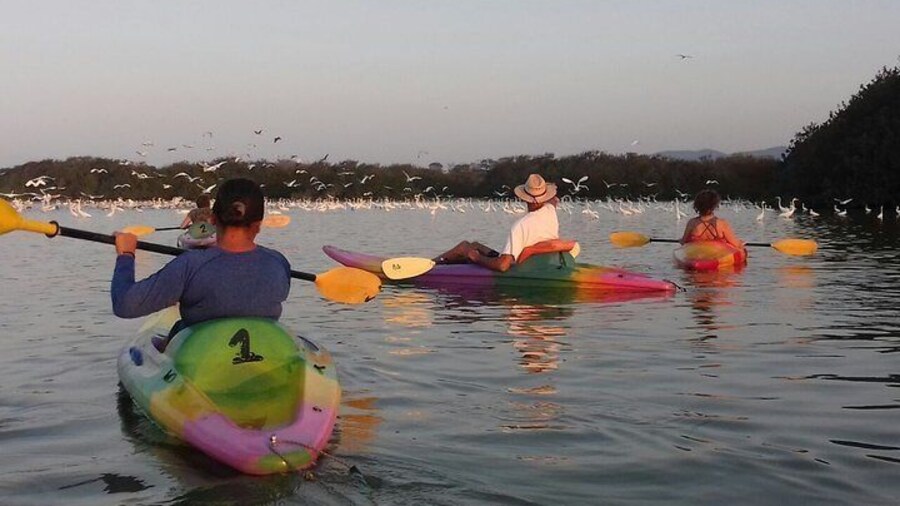 Ixtapa Kaying at Barra De Potosi