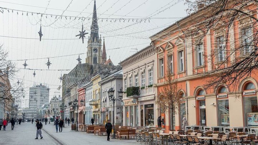 Novi Sad and Sremski Karlovci Wine Tour From Belgrade