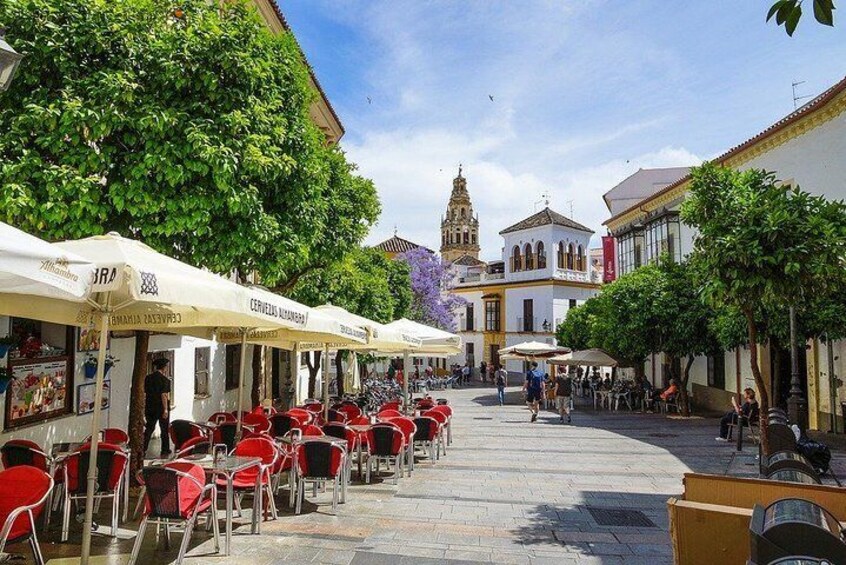 Private 10-hour Shore Excursion from Motril Cruise Port to Cordoba