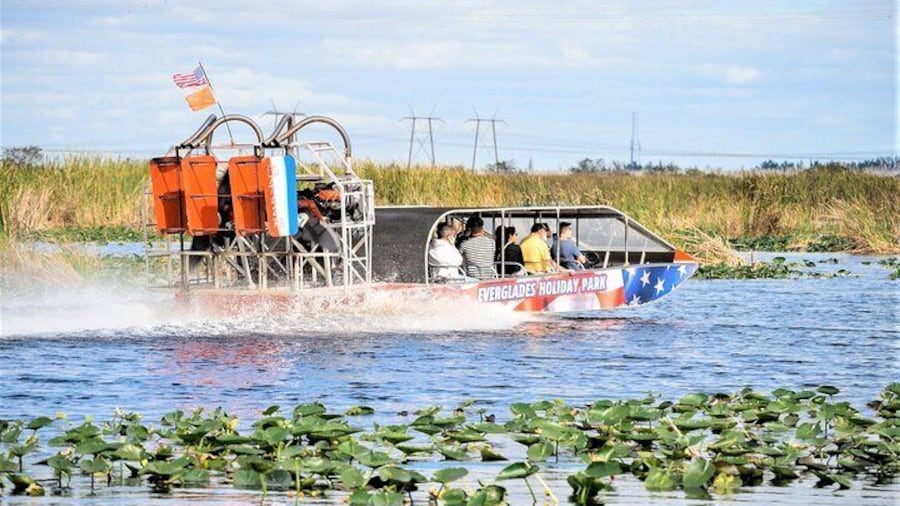 Everglades Airboat Tour in Fort Lauderdale