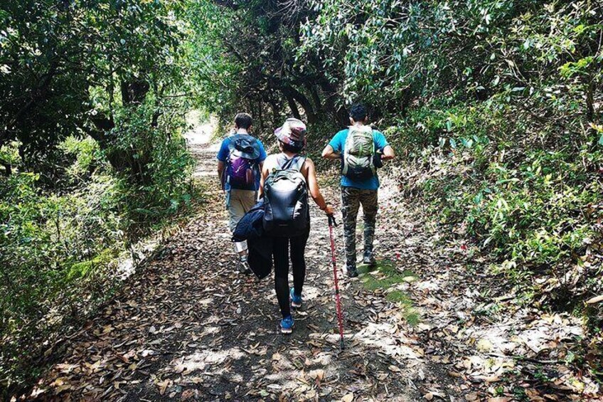 Chisapani - Nagarkot Trek Nepal - 3 Days