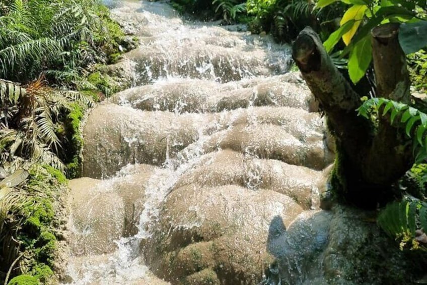 Private Bua Thong Sticky Waterfalls Sightseeing Half Day Tour 