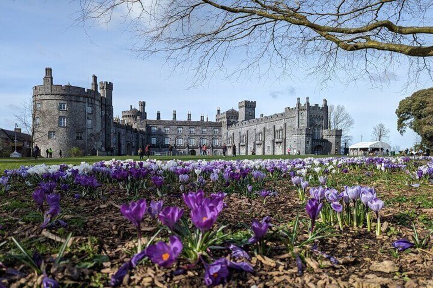Walking tour of Kilkenny's must see attractions with a certified guide. . 