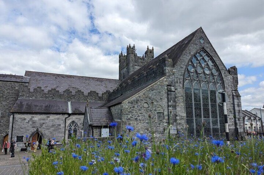 The best of Kilkenny, two hour guided walking tour. 