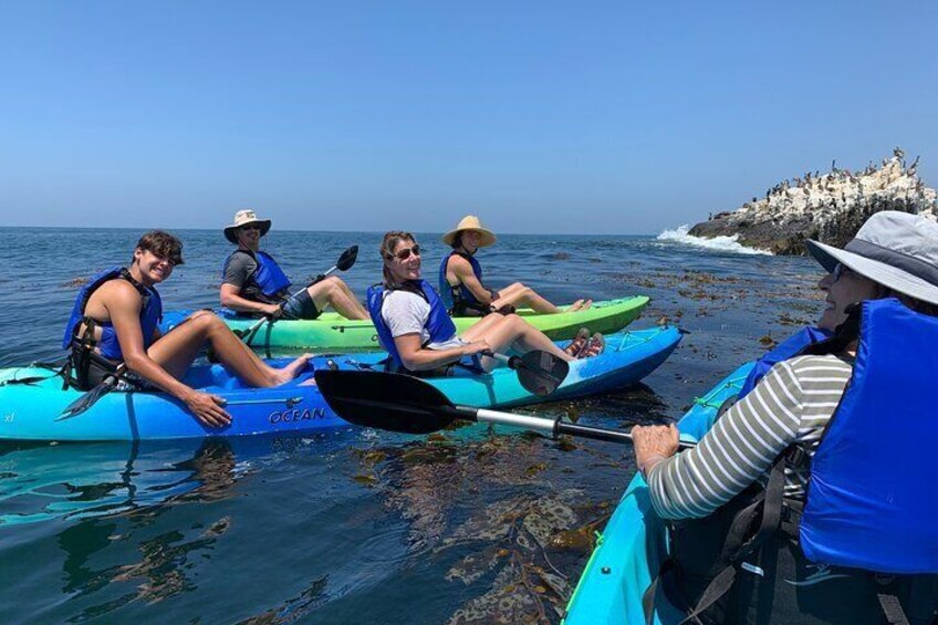 Laguna Beach Open Ocean Kayaking Tour with Sea Lion Sightings