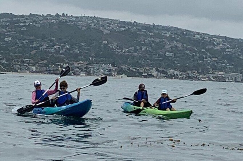 Laguna Beach Open Ocean Kayaking Tour with Sea Lion Sightings