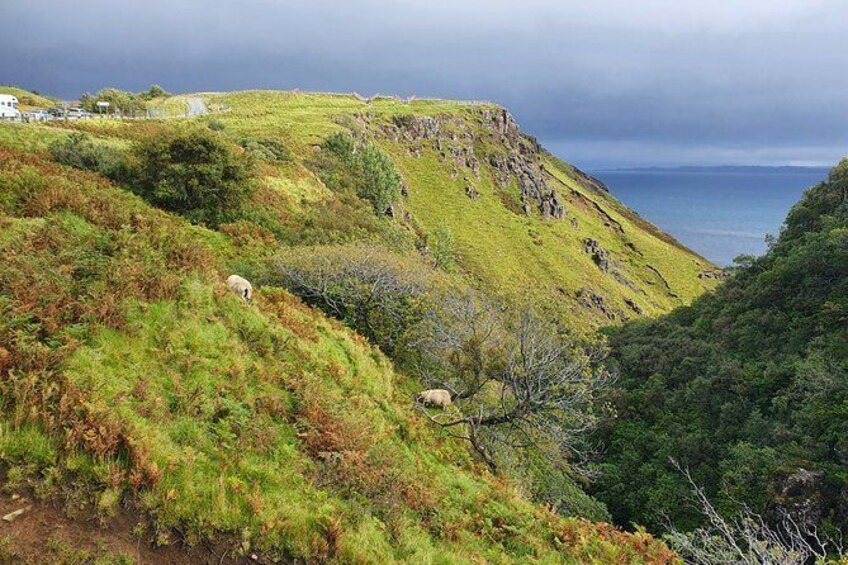 Show item 3 of 20. Half-Day Minibus Tour on Isle of Skye