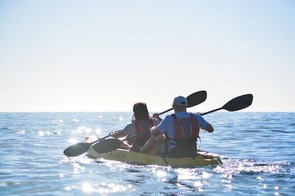 Kayak privado con fondo de cristal y snorkel en el tour Two Bays