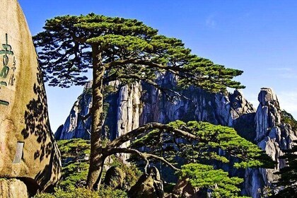 3-Day Huangshan Private Tour: Yellow Mountain, Chengkan Village and Tunxi S...