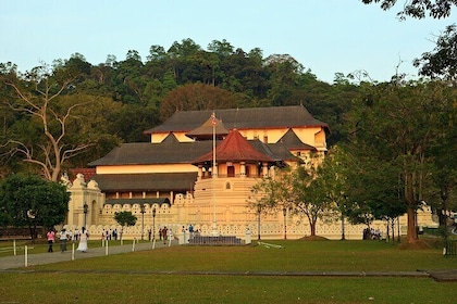 Sri Lanka in 08 Days