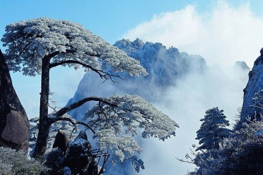 Private Photography Day Tour of Huangshan Yellow Mountain