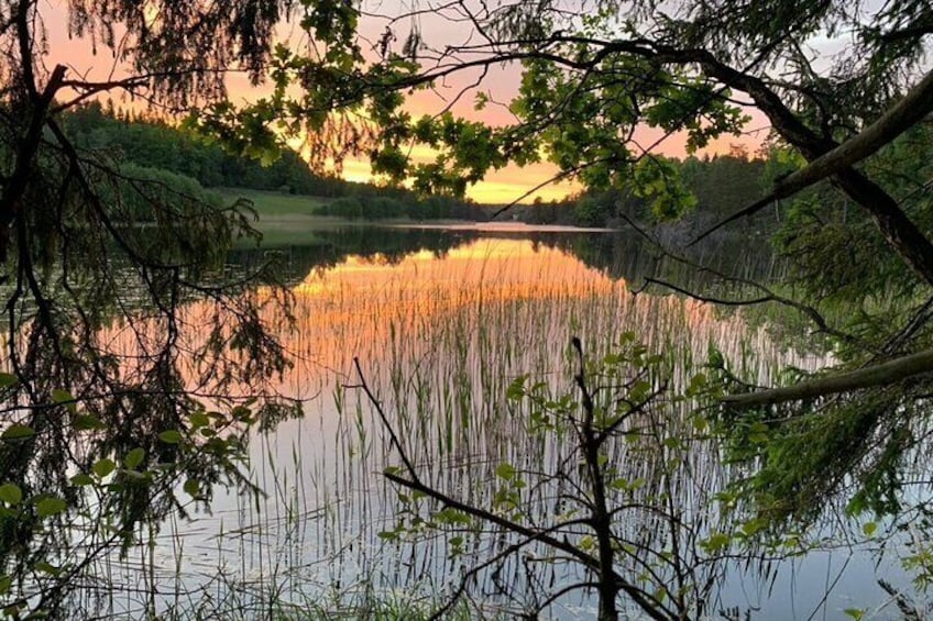 Stockholm: Sunset Hike in Tyresta National Park with Meal