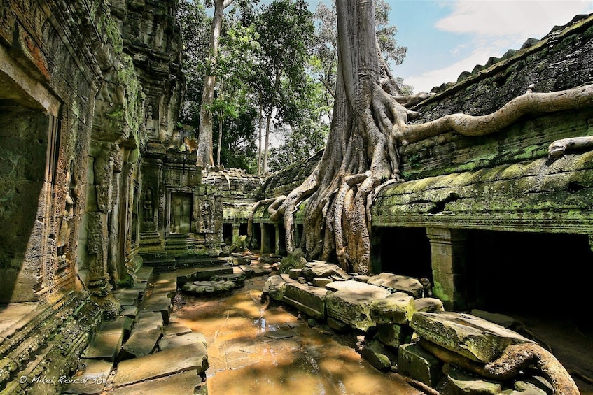 5-day Saigon Mekong Delta Cu Chi Tunnels Siemreap Angkor Wat