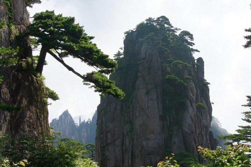 2-Day Huangshan and Hongcun Village Private Tour from Shanghai by Bullet Train