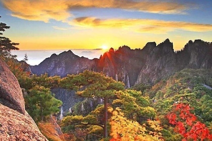 2-Day Mt Huangshan and Xidi Village Private Tour from Shanghai by Bullet Tr...