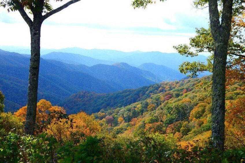 Fall Color Tour in the Smoky Mountains