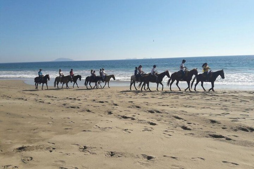 Horseback Riding at Playa Larga, Ixtapa Pacific Tours