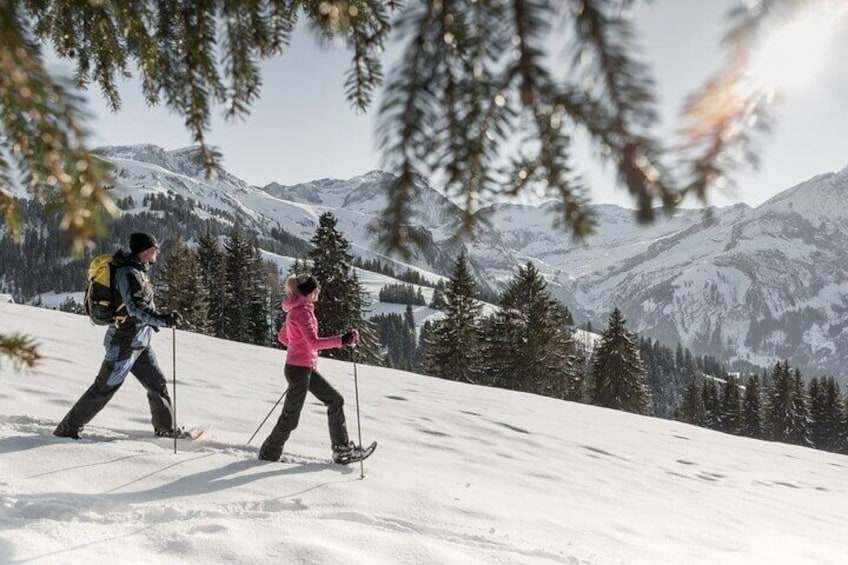 Winter Activities Gstaad