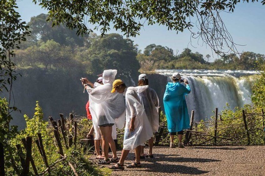 Victoria Falls Rain forest