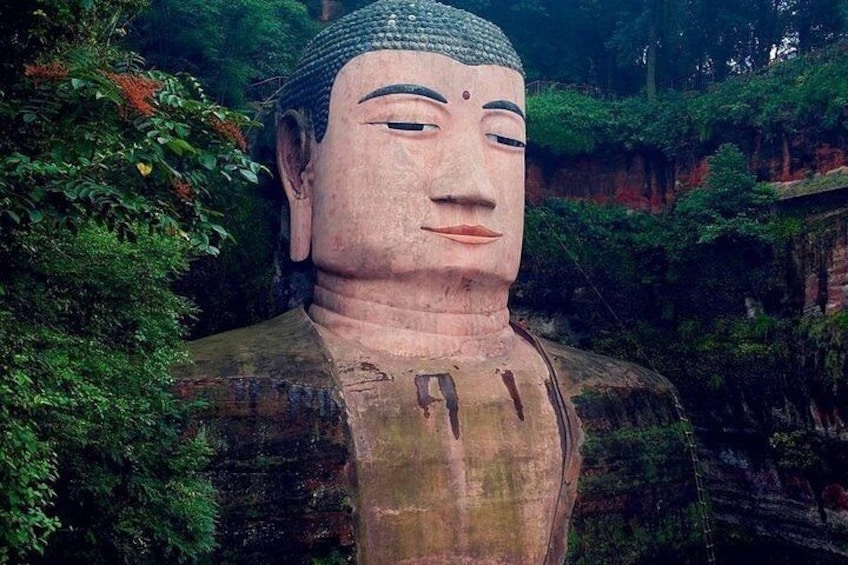 Private 2-Day Leshan Buddha and Mt. Emei Tour from Chongqing