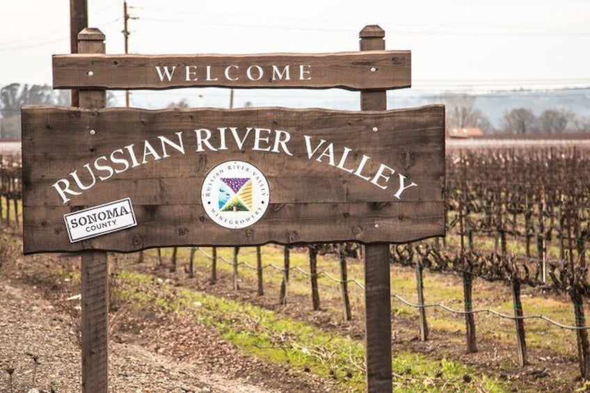 Russian River Valley Vineyards