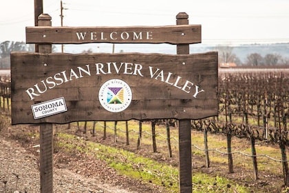6-Hours Customised Private RUSSIAN RIVER Valley Wine Tour From San Francisc...
