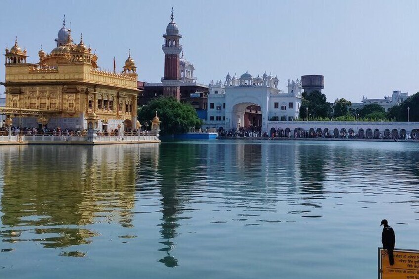 Golden Temple pool view
