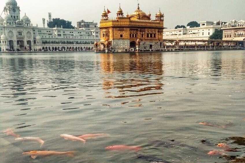 Amritsar Golden Temple Tour.