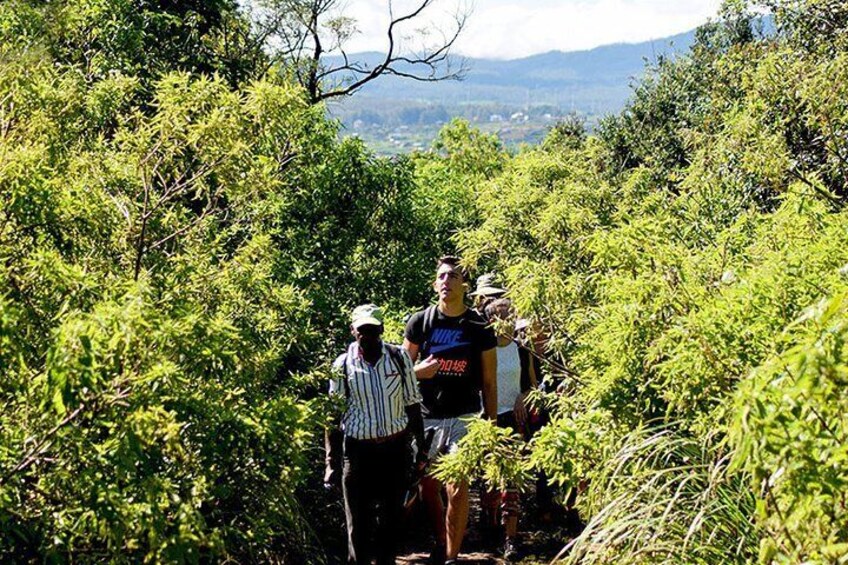 Hike to Single Tree Hills