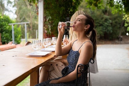 Southern Gippsland boutique Wine Tour with Tapas from Melbourne