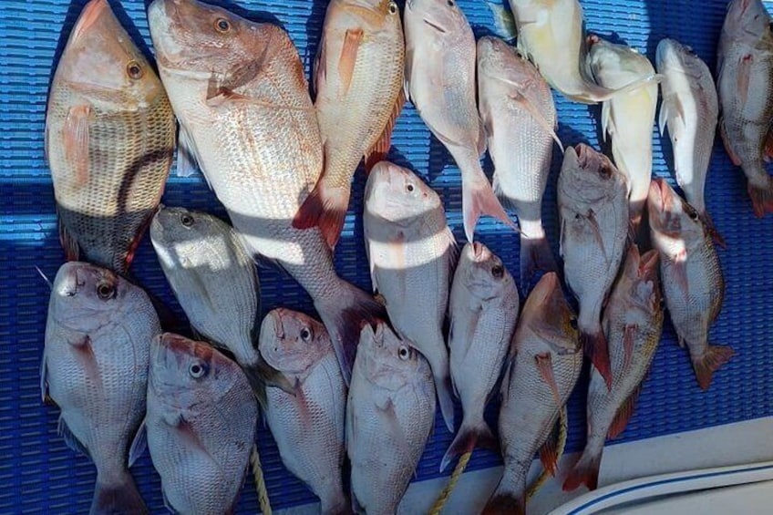 Geraldton Fishing Charter