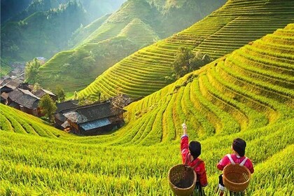 3-Day Private Tour from Chengdu by Air:Guilin, Longji Rice Terrace and Yang...