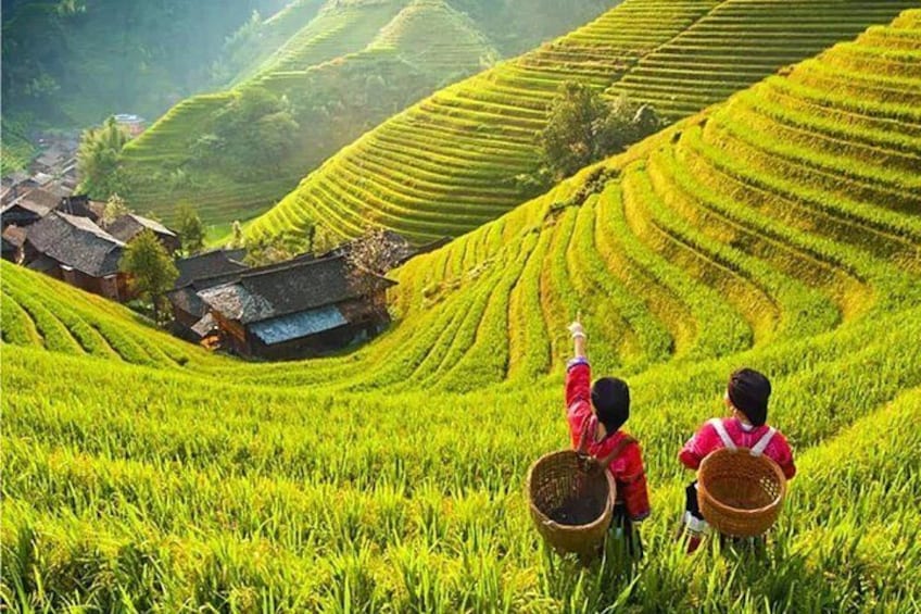 Longsheng Rice terrace 