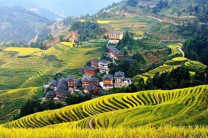3-Day Private Tour from Xiamen by Air: Guilin, Longji Rice Terrace and Yang...