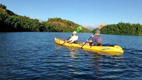 Guided Kayaking & Hiking Tour of Wailua River Valley