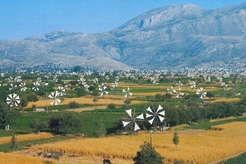 Lassithi Plateau