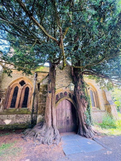 From London: Cotswolds Full-Day Tour with Optional Lunch