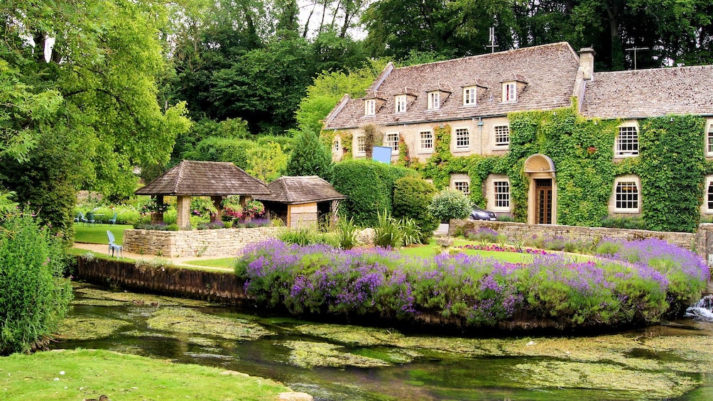 ivy covered house in UK