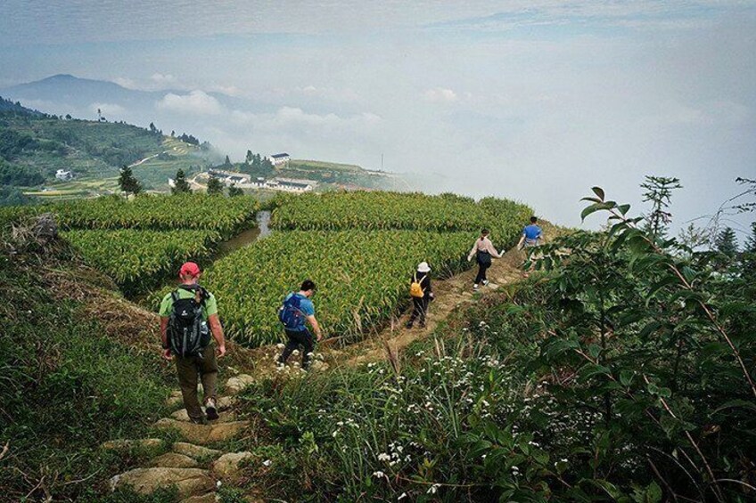 3- Day Private Hiking Trip to Xuefeng Mountain with Accommondation