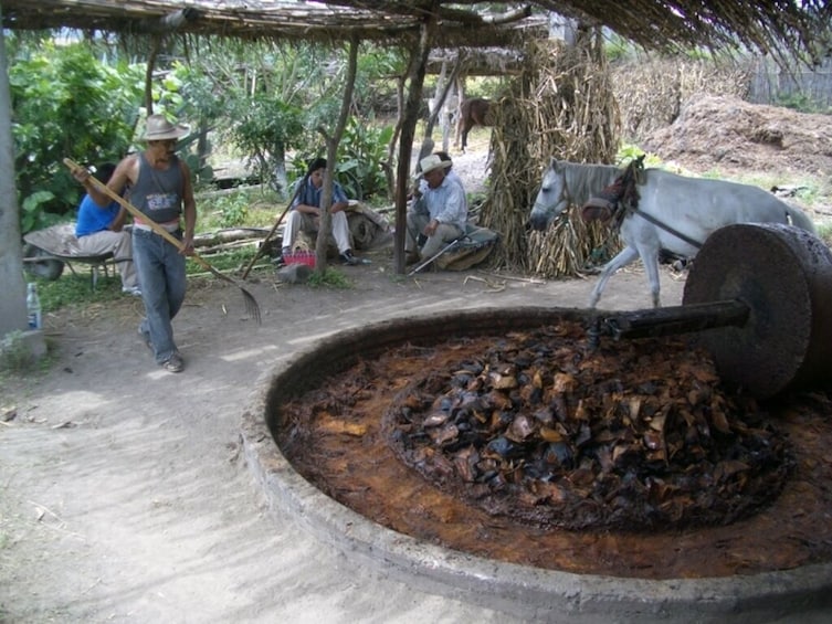 Mexico: Mezcal, beer & cider tour to Puebla