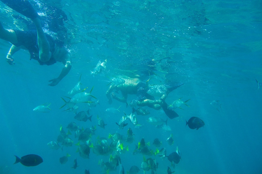 Private Santa Maria & Chileno Bay Snorkeling Tour