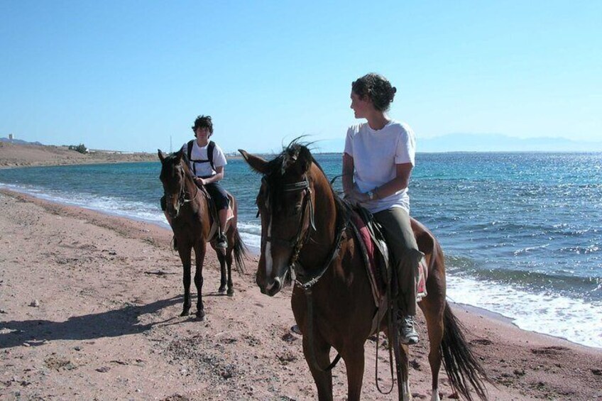 Horse riding in Dahab
