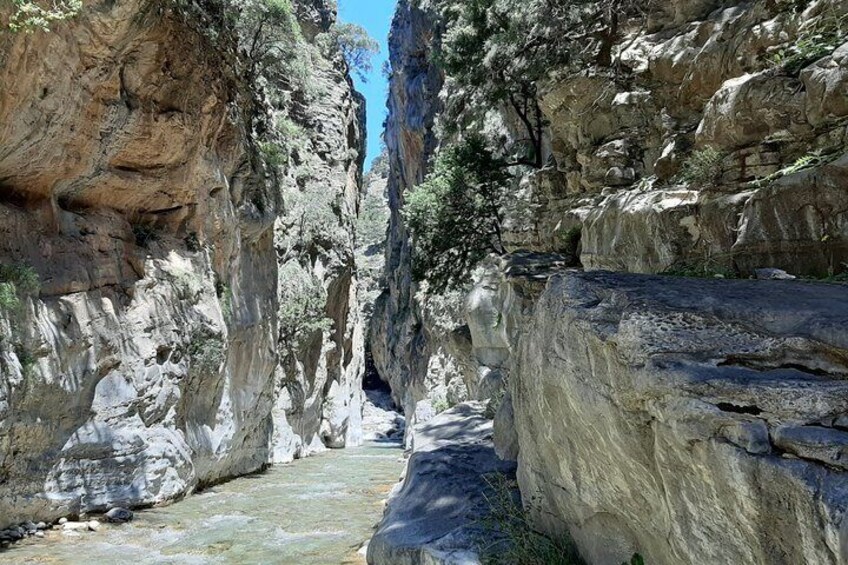 SAMARIA GORGE adventure by local guide.